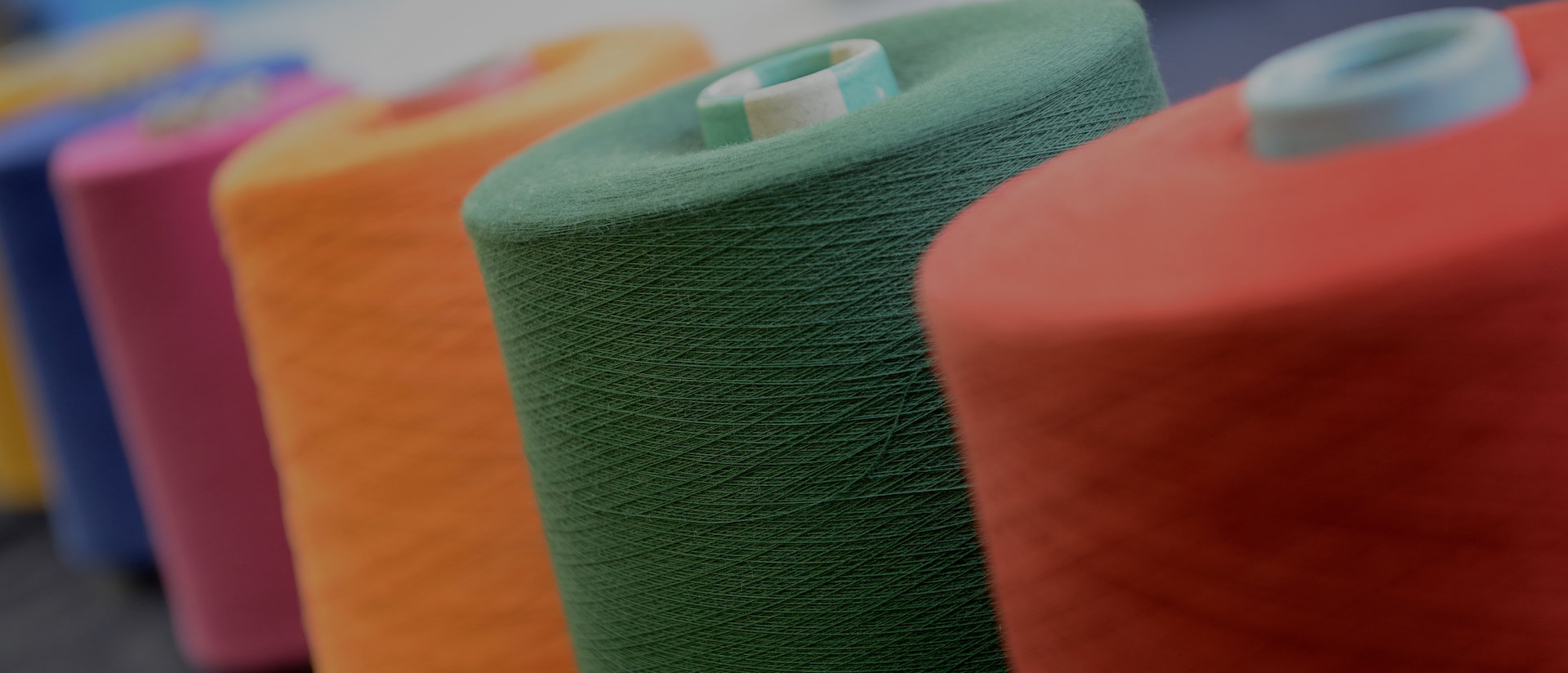 Shaoxing Qiufei Textile Technology Co., Ltd.